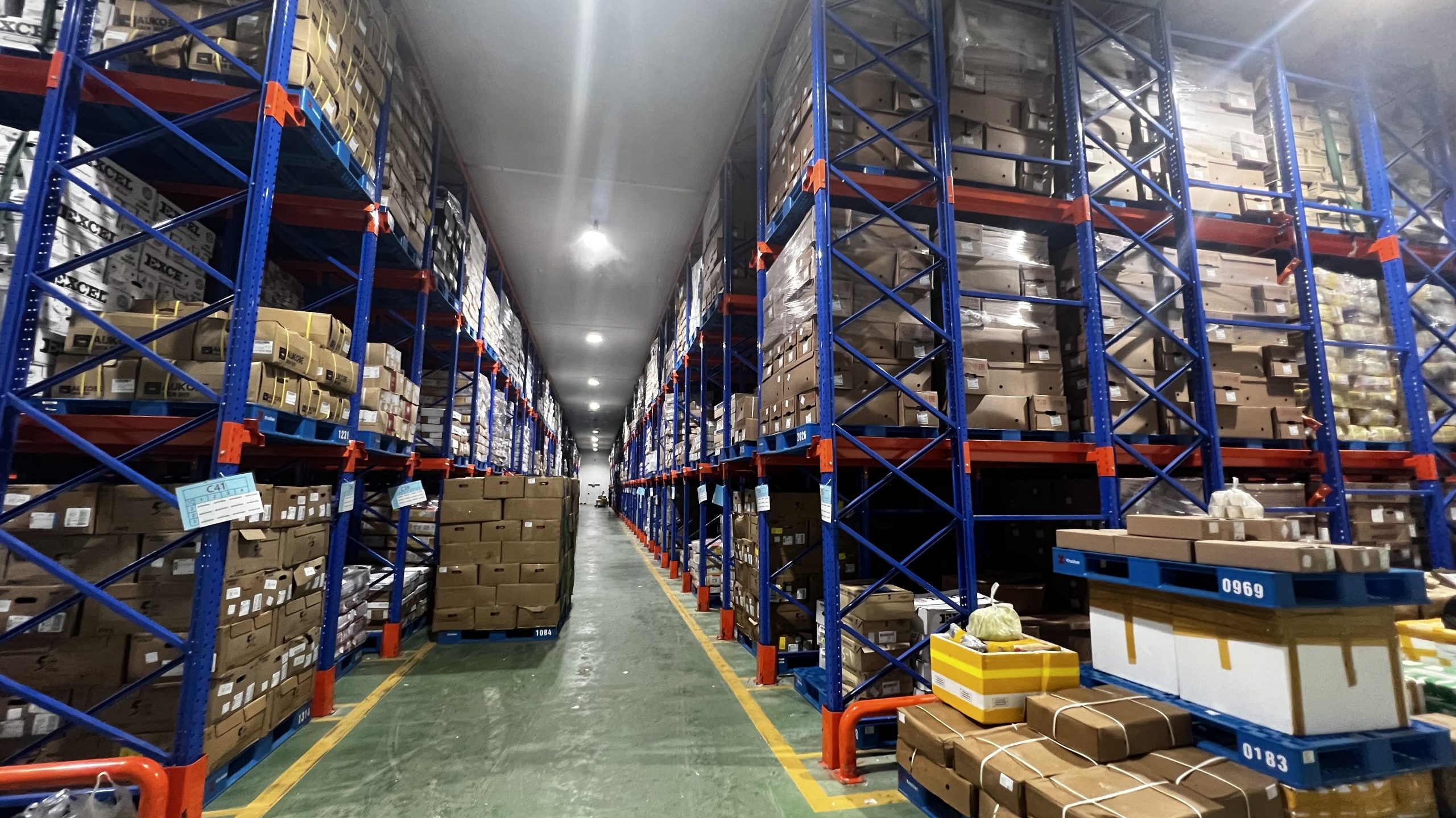 cho thuê xe nâng pin lithium kho lạnh